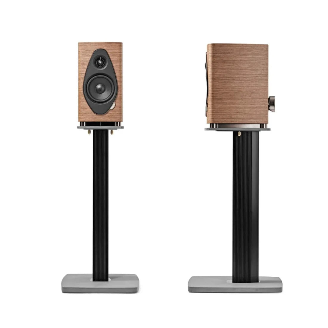 Shop for Sonus faber Sonetto I G2 Bookshelf Speaker | Ooberpad