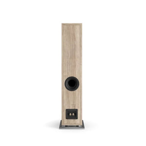 Dali Oberon 5 Compact Floorstanding Speaker (Light Oak) - Rear View