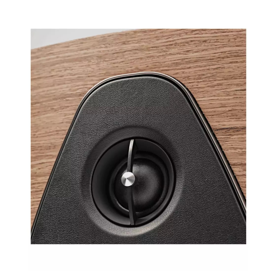 Sonetto VIII G2